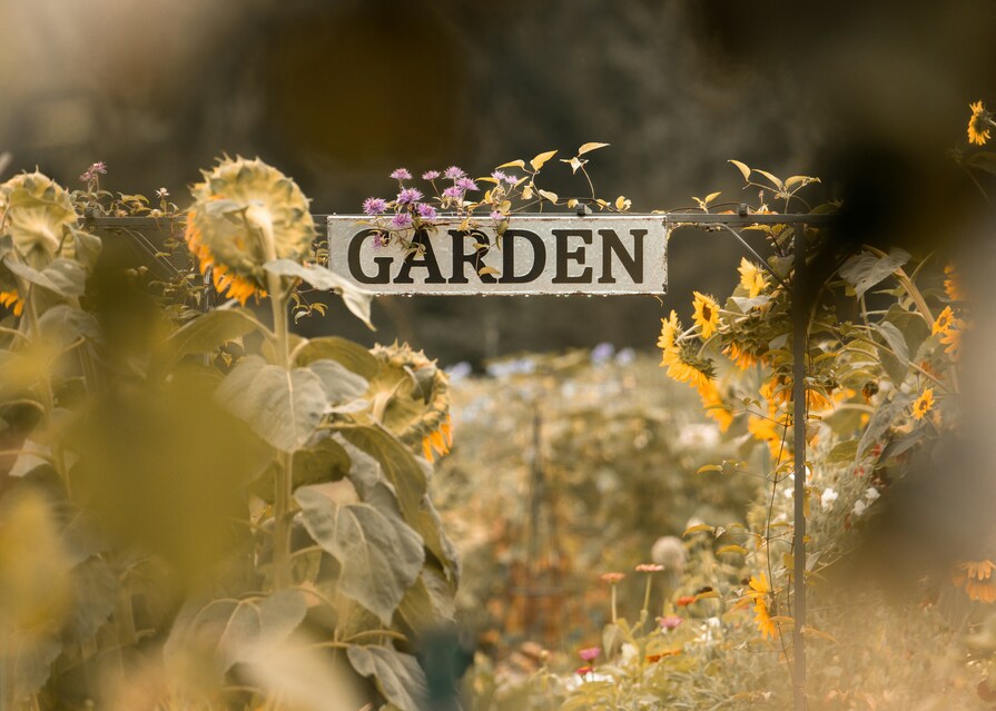 Garten im Sommer, Schild mit der Aufschrift Garden zwischen Sonnenblumen